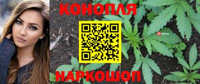 МДПВ Кунгур