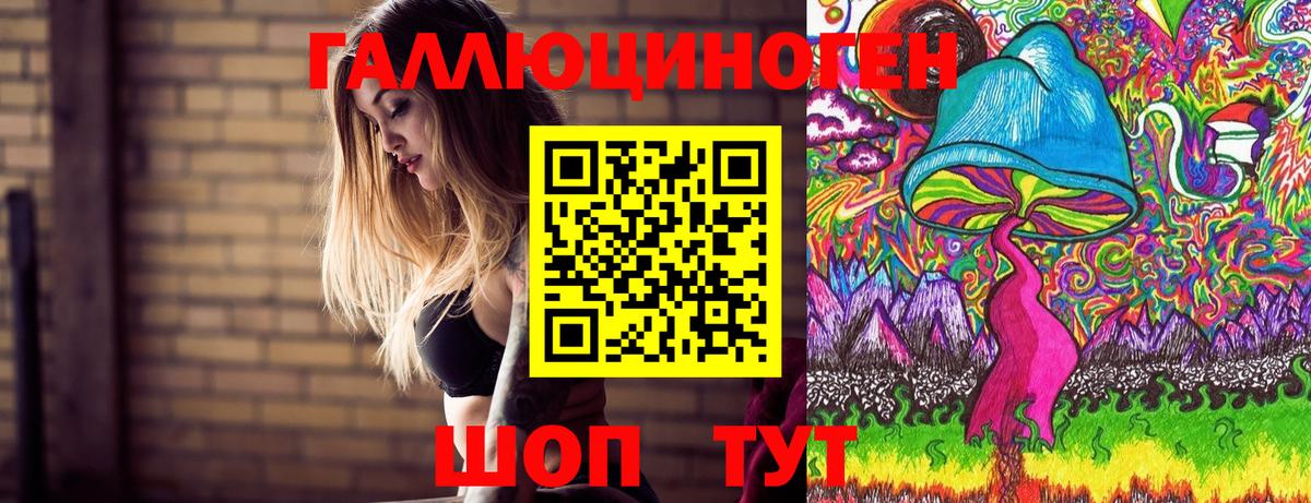 Псилоцибиновые грибы прущие грибы Кашира