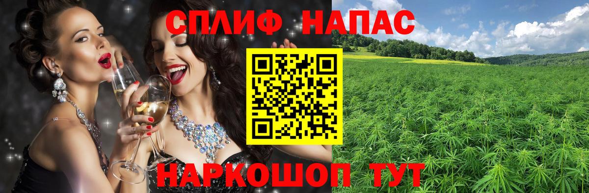 Бошки марихуана планчик  Вход с VPN  Бошки марихуана Amnesia  Марихуана ГИДРОПОН  Конопля THC 21%  Кашира 